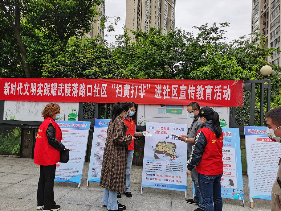 芙蓉街道落路口社区开展“严格版权保护 推进创新发展” 宣传活动