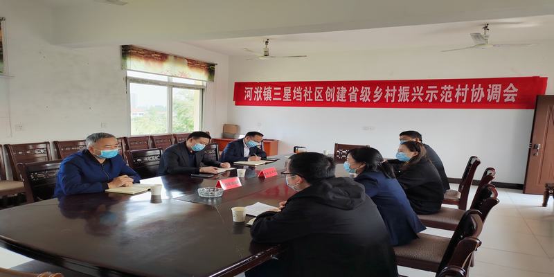 武陵区法院院长熊利波协调河洑镇三星垱社区省级乡村振兴示范村创建工作
