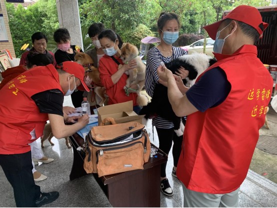 新时代文明实践耀武陵|免费注射狂犬疫苗   倡导文明科学养犬