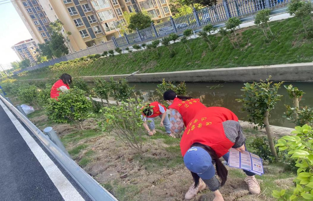 芙蓉街道：维护河道清洁，助力文明创建