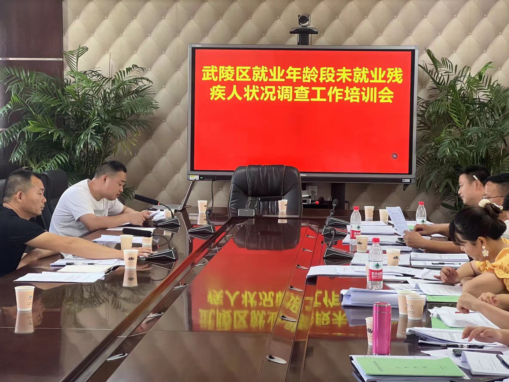 常德市武陵区残联召开农村户籍残疾人返贫致贫风险排查、就业年龄段未就业残疾人状况调查、持证残疾人基本状况 调查培训会