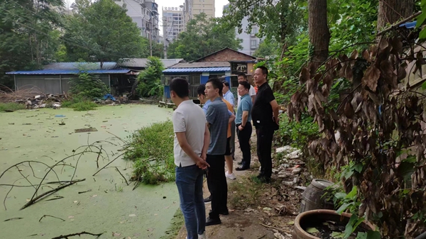 我为群众办实事|永安街道东苑社区：整治废弃水塘 还居民干净环境