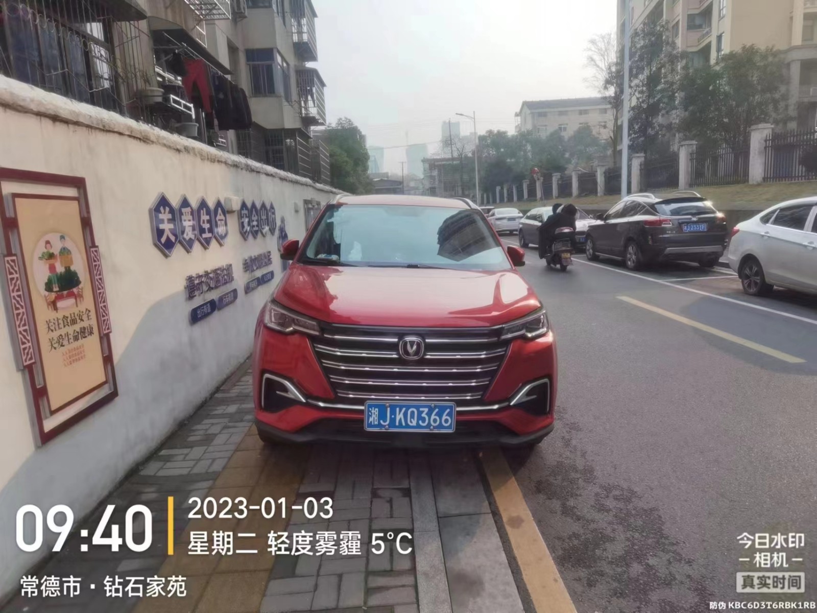 【曝光台】武陵城区不文明行为曝光（125）