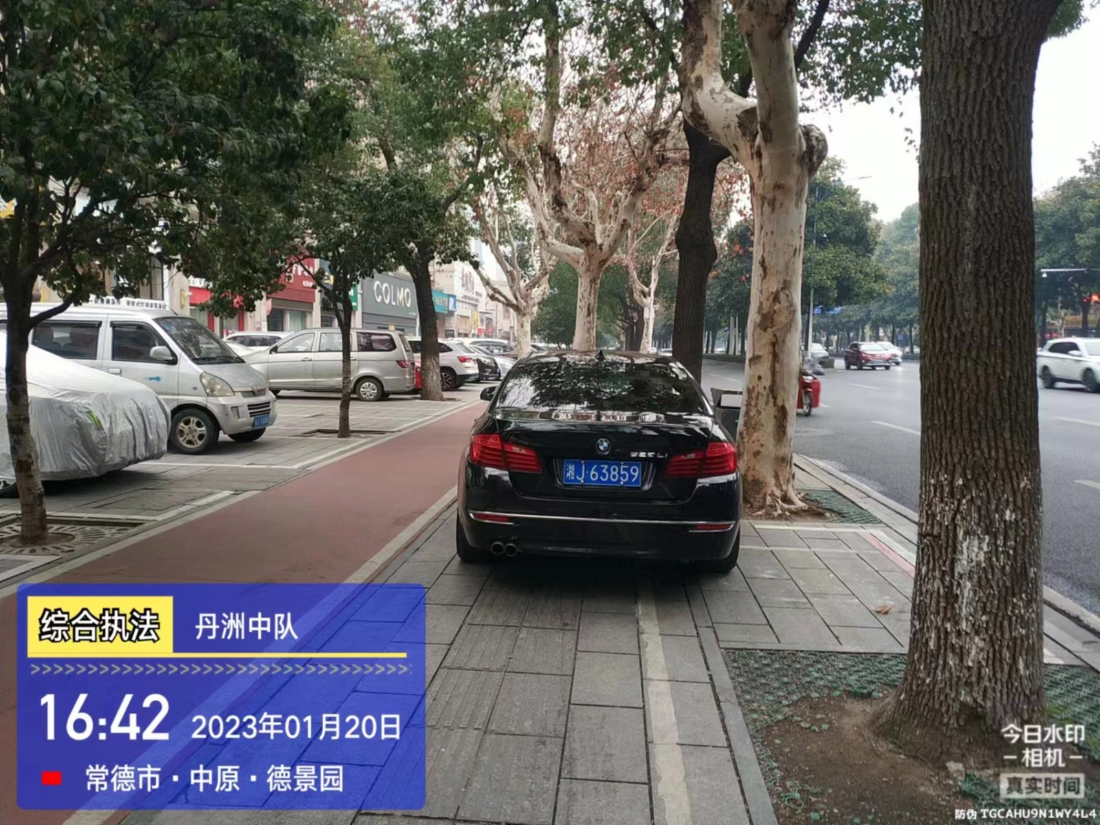 【曝光台】武陵城区不文明行为曝光（142）