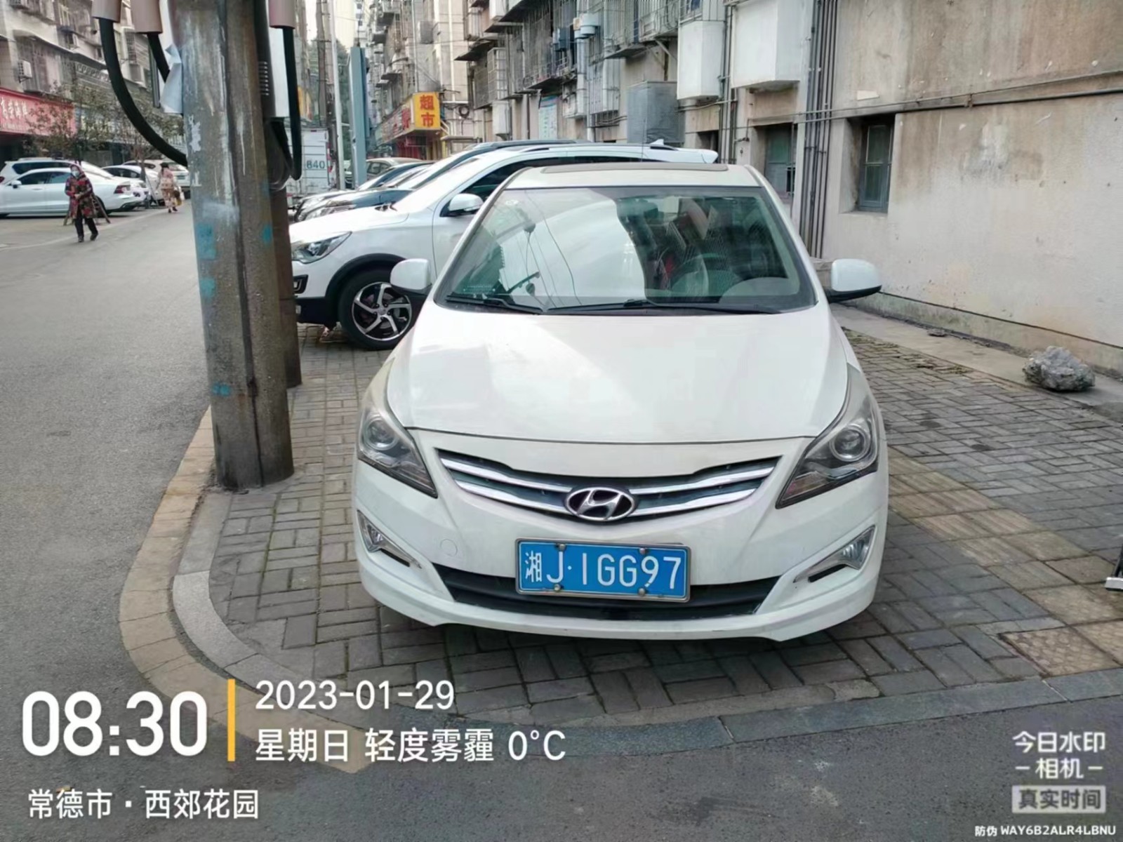 【曝光台】武陵城区不文明行为曝光（144）
