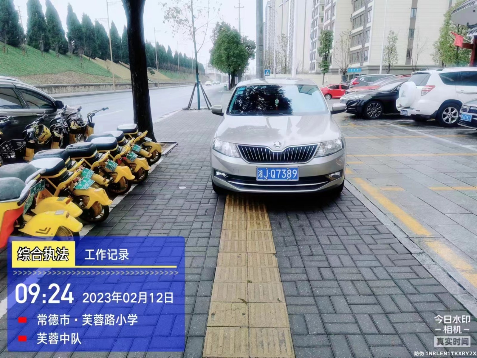 【曝光台】武陵城区不文明行为曝光（158）
