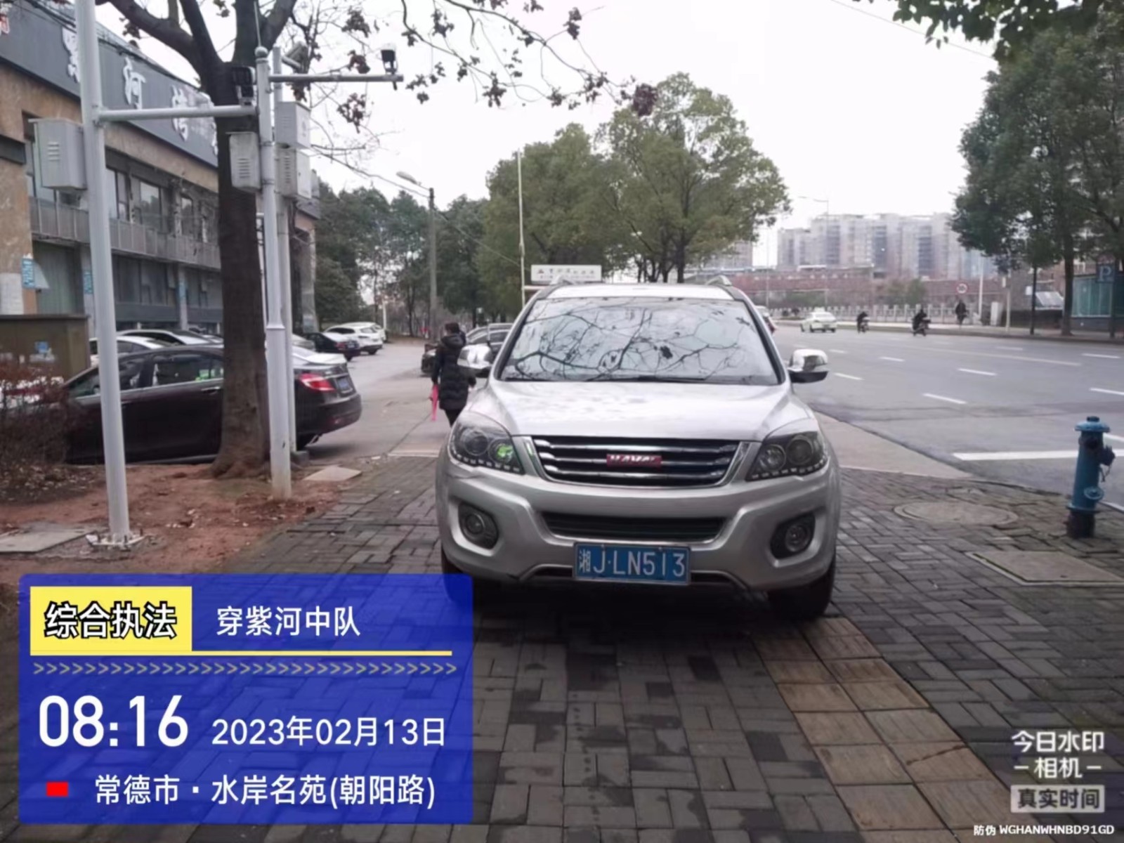【曝光台】武陵城区不文明行为曝光（159）