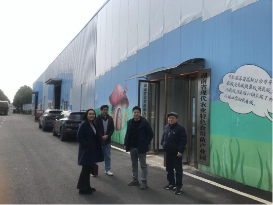 武陵区科协实地调研食用菌产业园