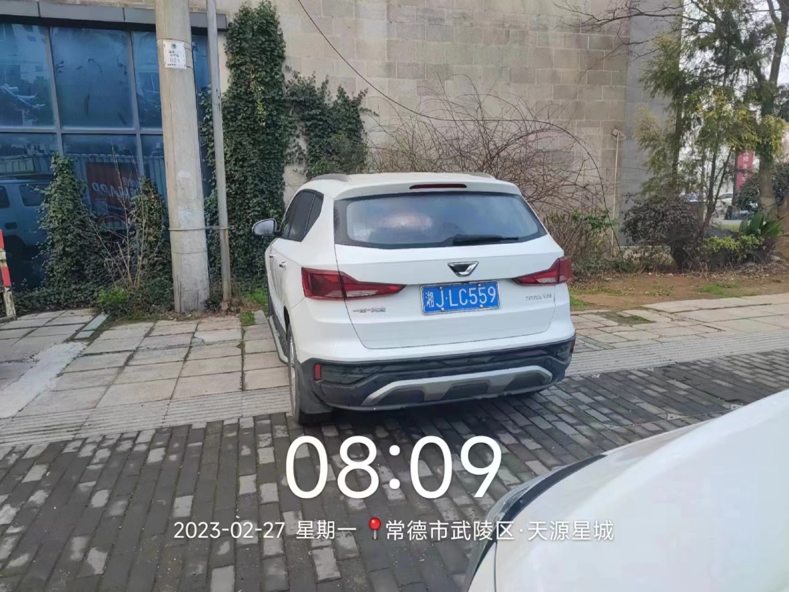 【曝光台】武陵城区不文明行为曝光（173）