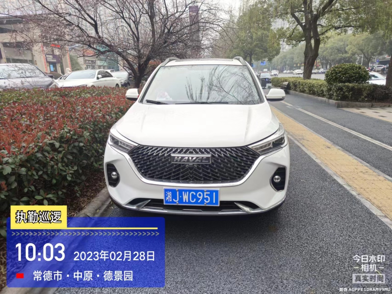 【曝光台】武陵城区不文明行为曝光（174）