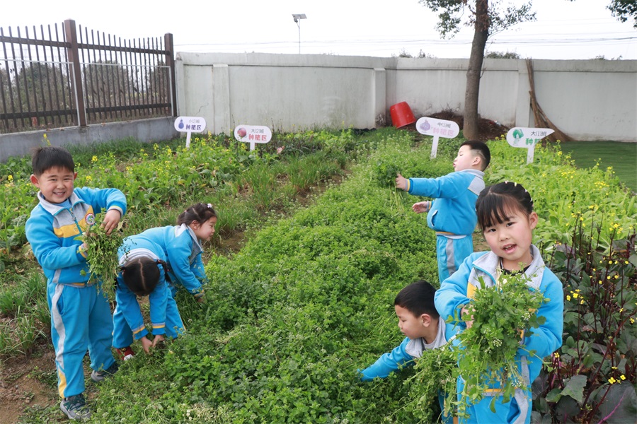武陵区双观幼儿园开展学雷锋系列活动