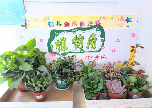 武陵区旭辉东升小学开展植树节系列活动