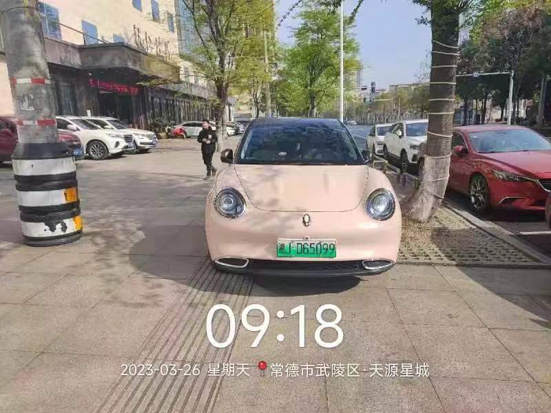 【曝光台】武陵城区不文明行为曝光（200）