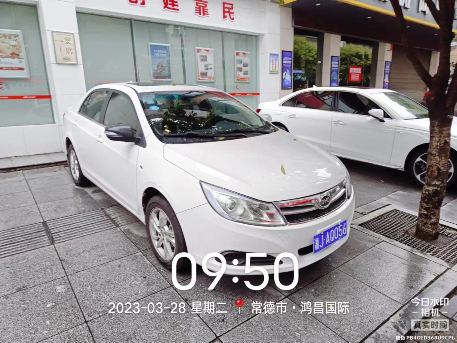 【曝光台】武陵城区不文明行为曝光（202）