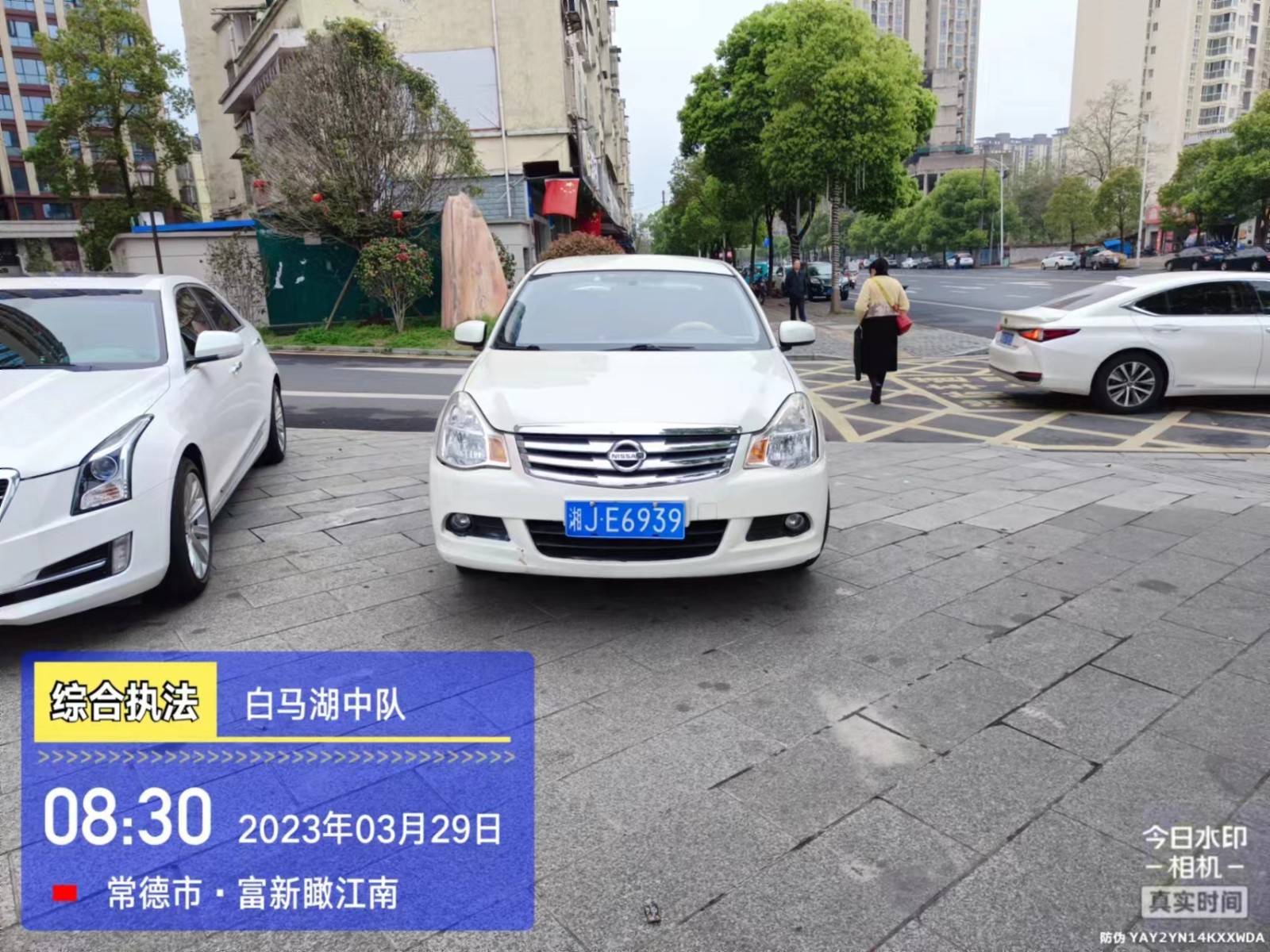 【曝光台】武陵城区不文明行为曝光（203）