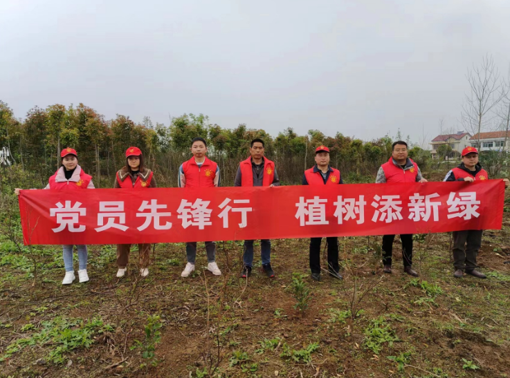 河洑镇汇华聚宝小学开展党员教师义务植树活动