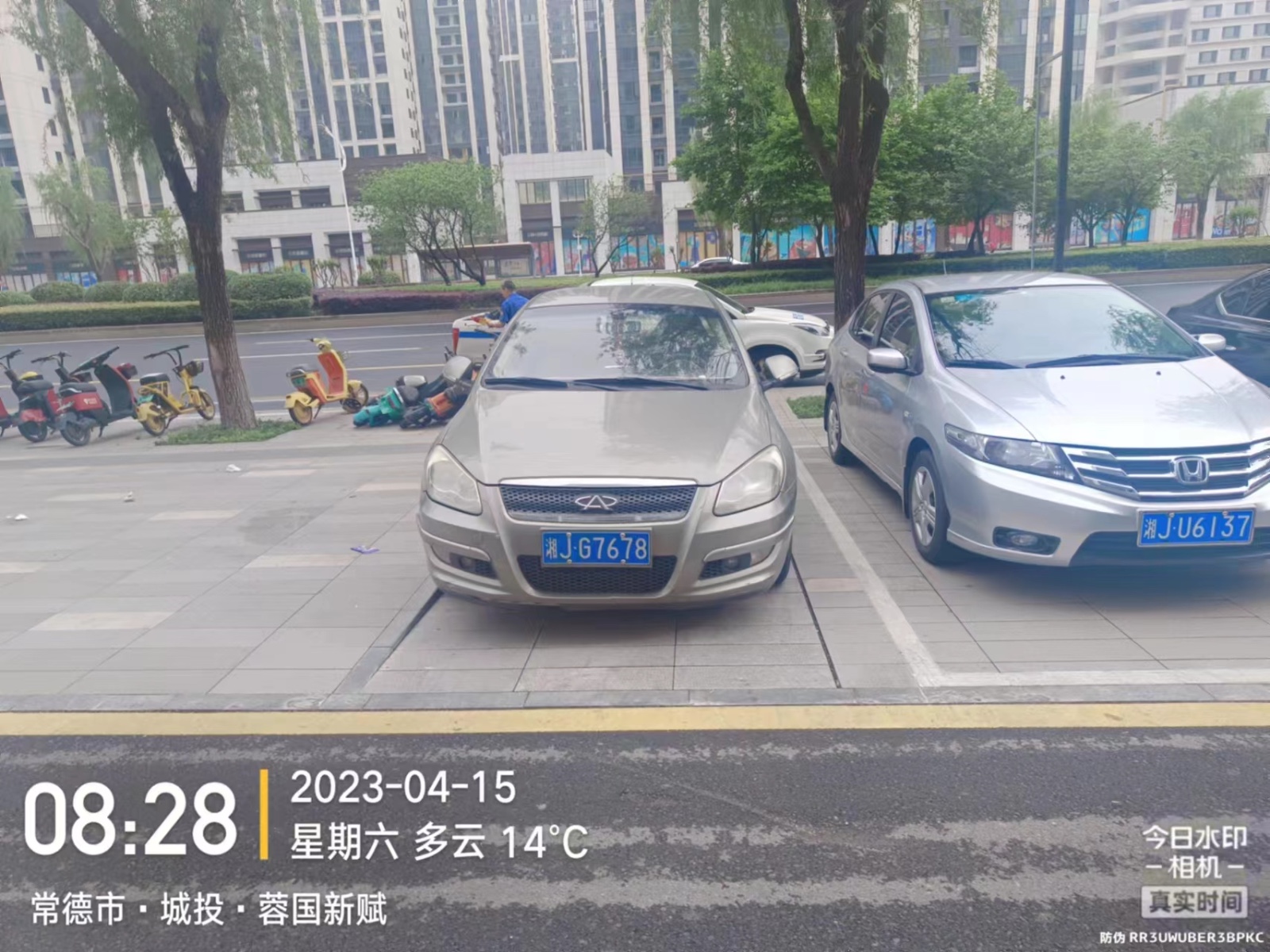 【曝光台】武陵城区不文明行为曝光（220）