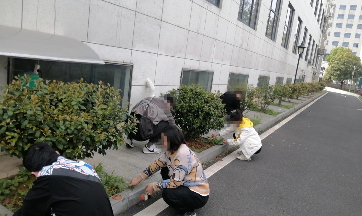 启明司法所组织社区矫正对象开展公益活动