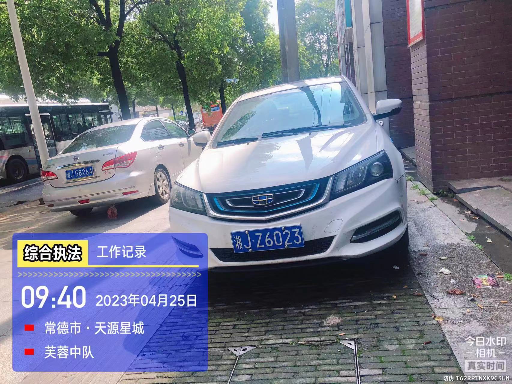 【曝光台】武陵城区不文明行为曝光（230）