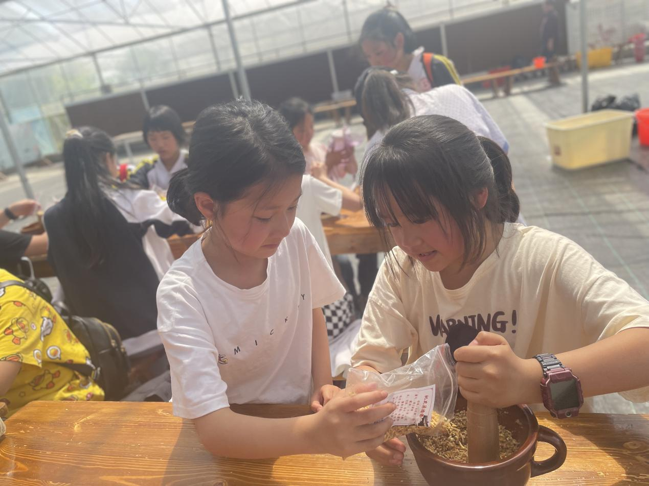 武陵区旭辉东升小学组织开展春季研学（校外）实践教育活动