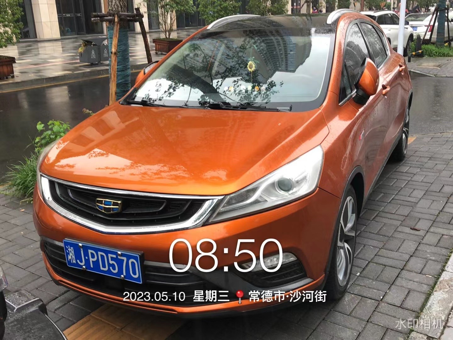 【曝光台】武陵城区不文明行为曝光（240）