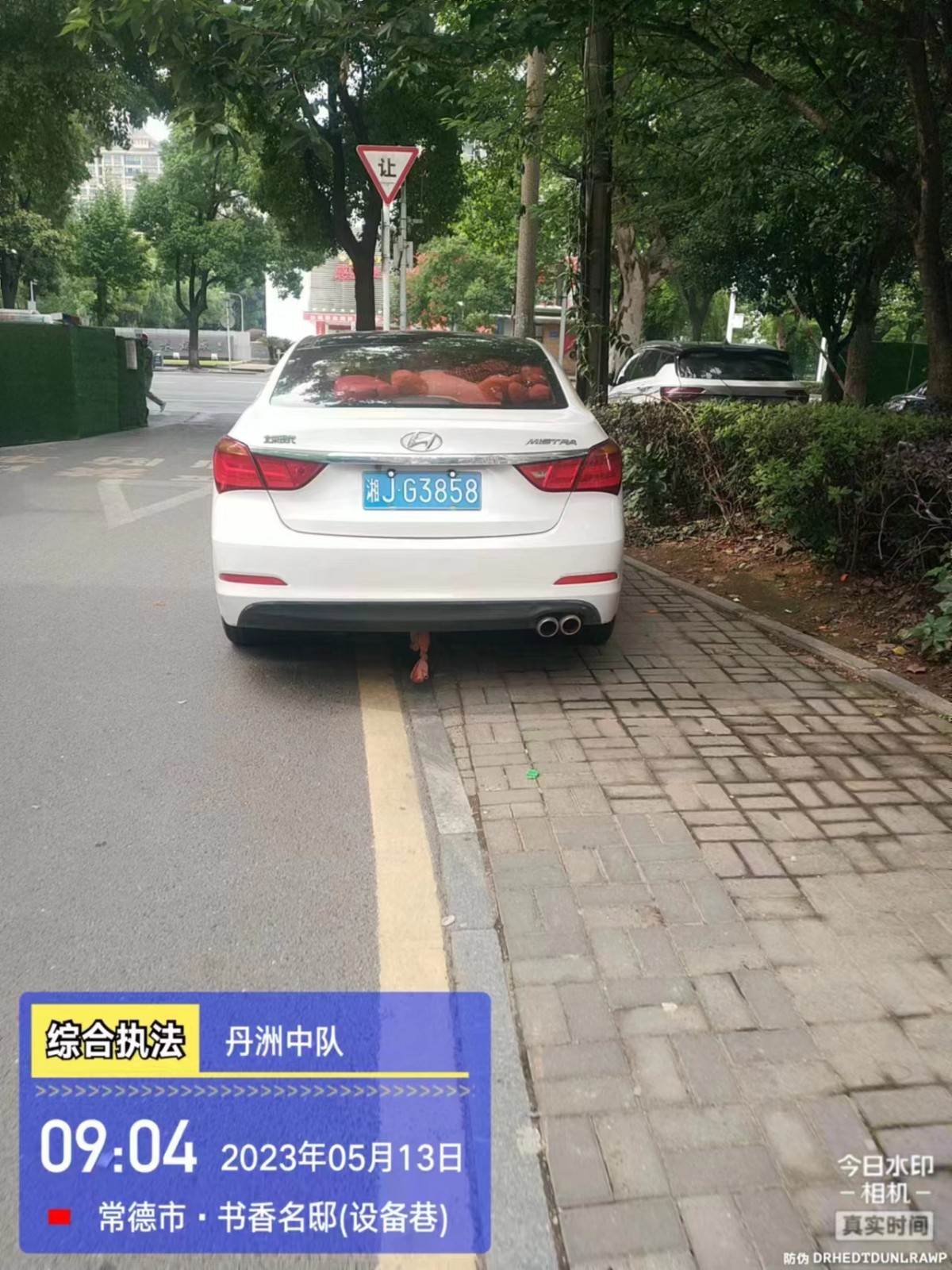 【曝光台】武陵城区不文明行为曝光（243）