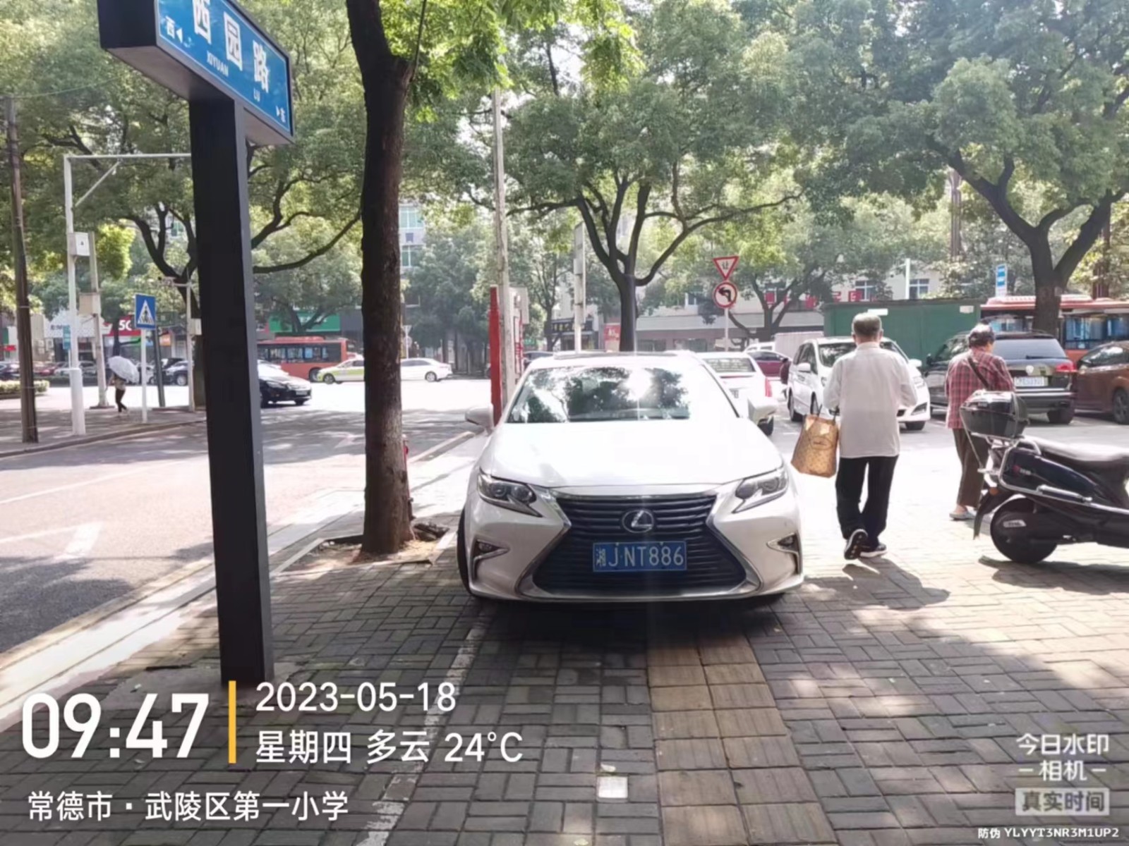 【曝光台】武陵城区不文明行为曝光（248）