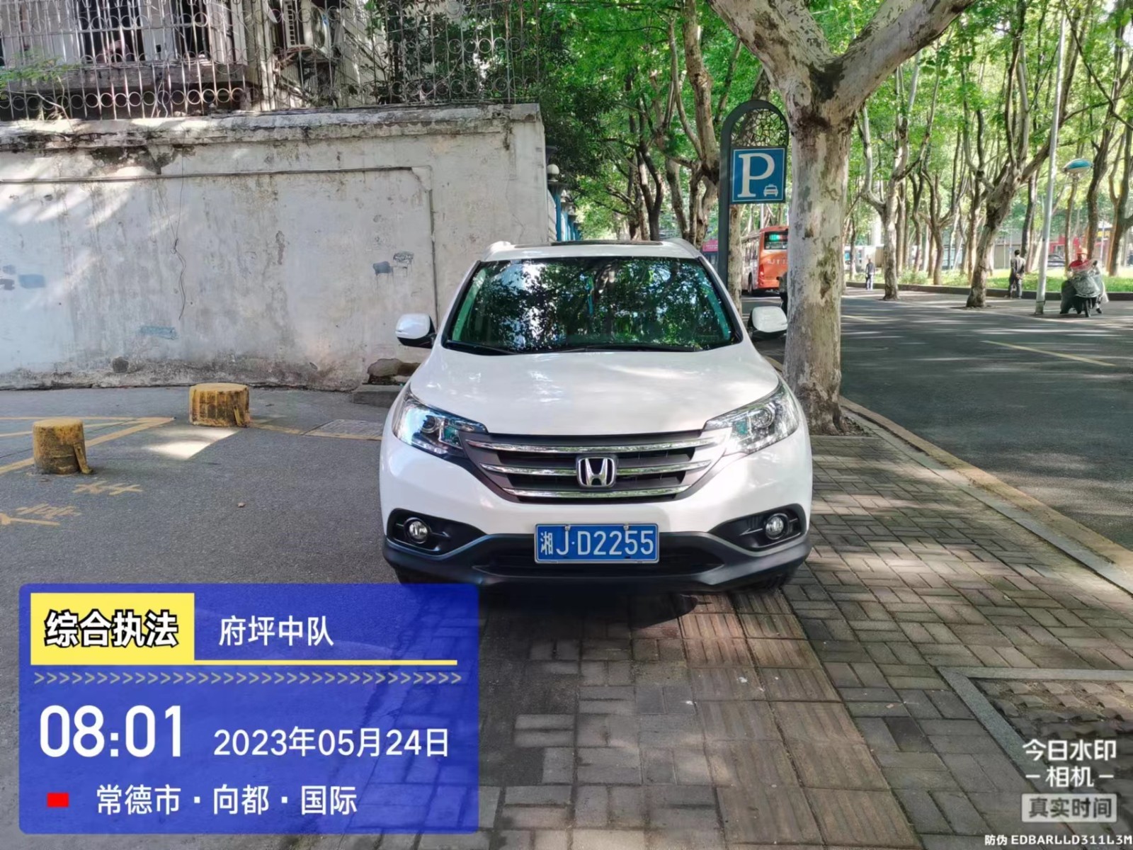 【曝光台】武陵城区不文明行为曝光（252）