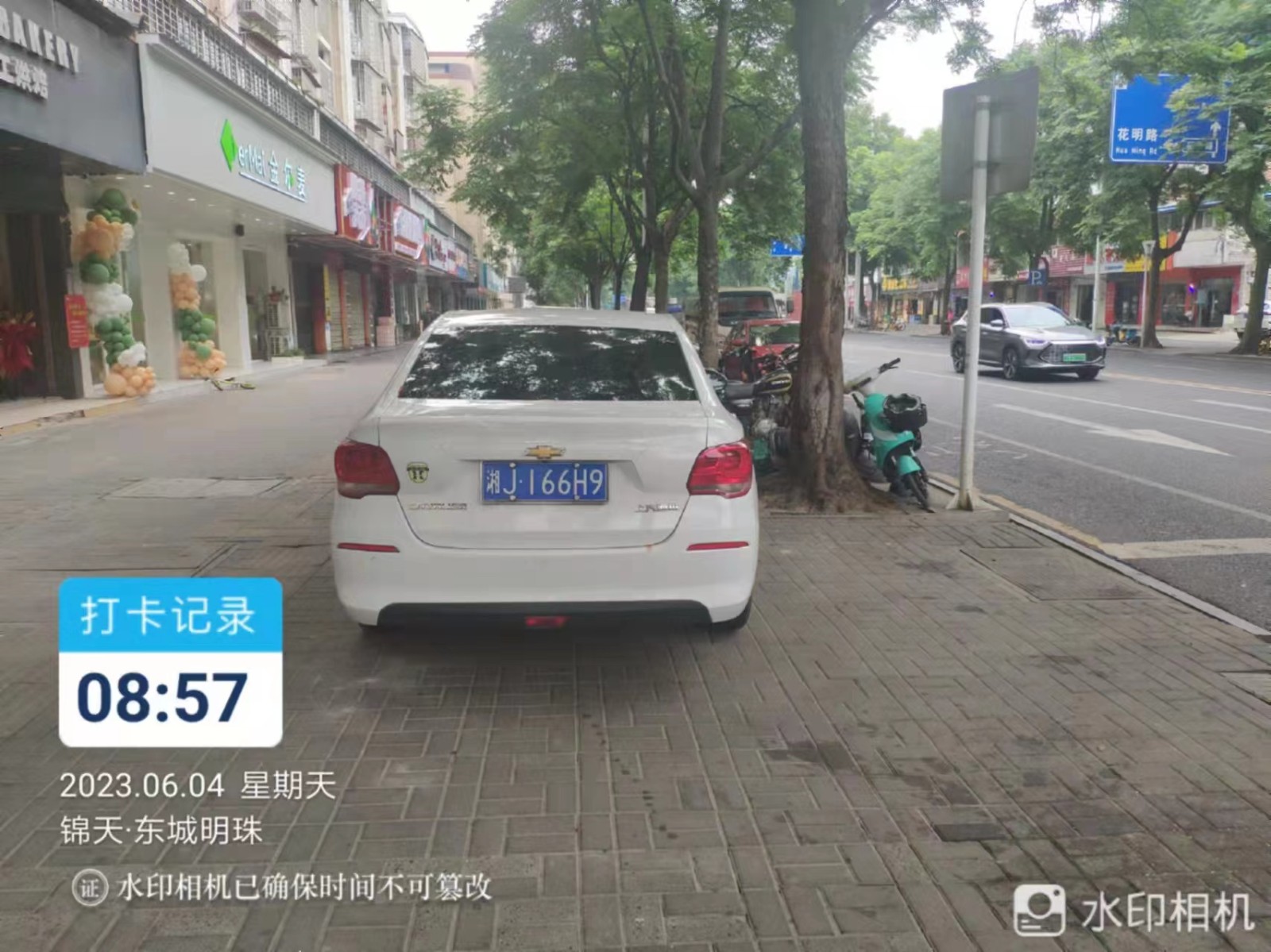 【曝光台】武陵城区不文明行为曝光（263）