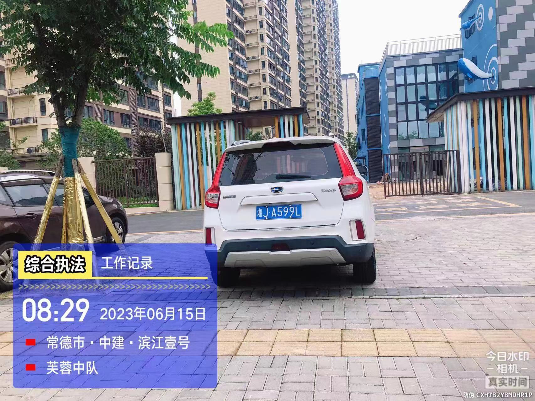 【曝光台】武陵城区不文明行为曝光（274）