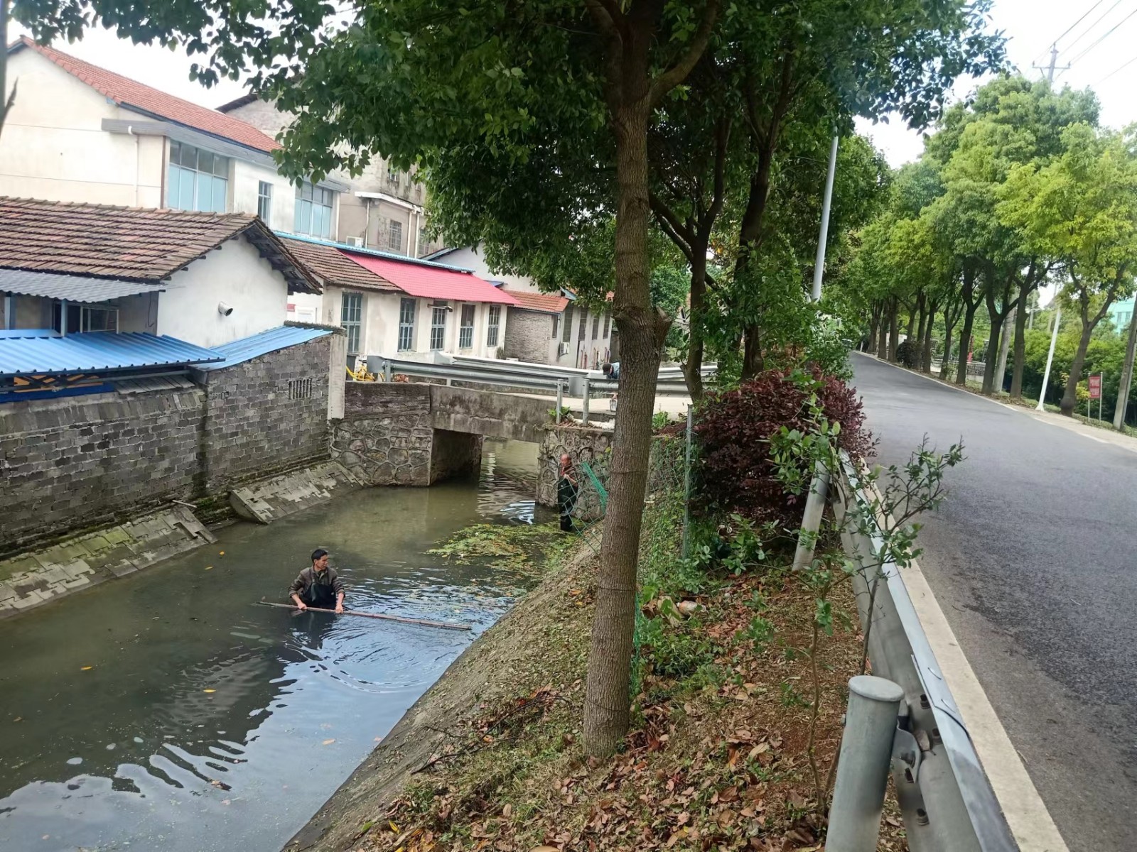 东江街道开展河道清理志愿服务活动