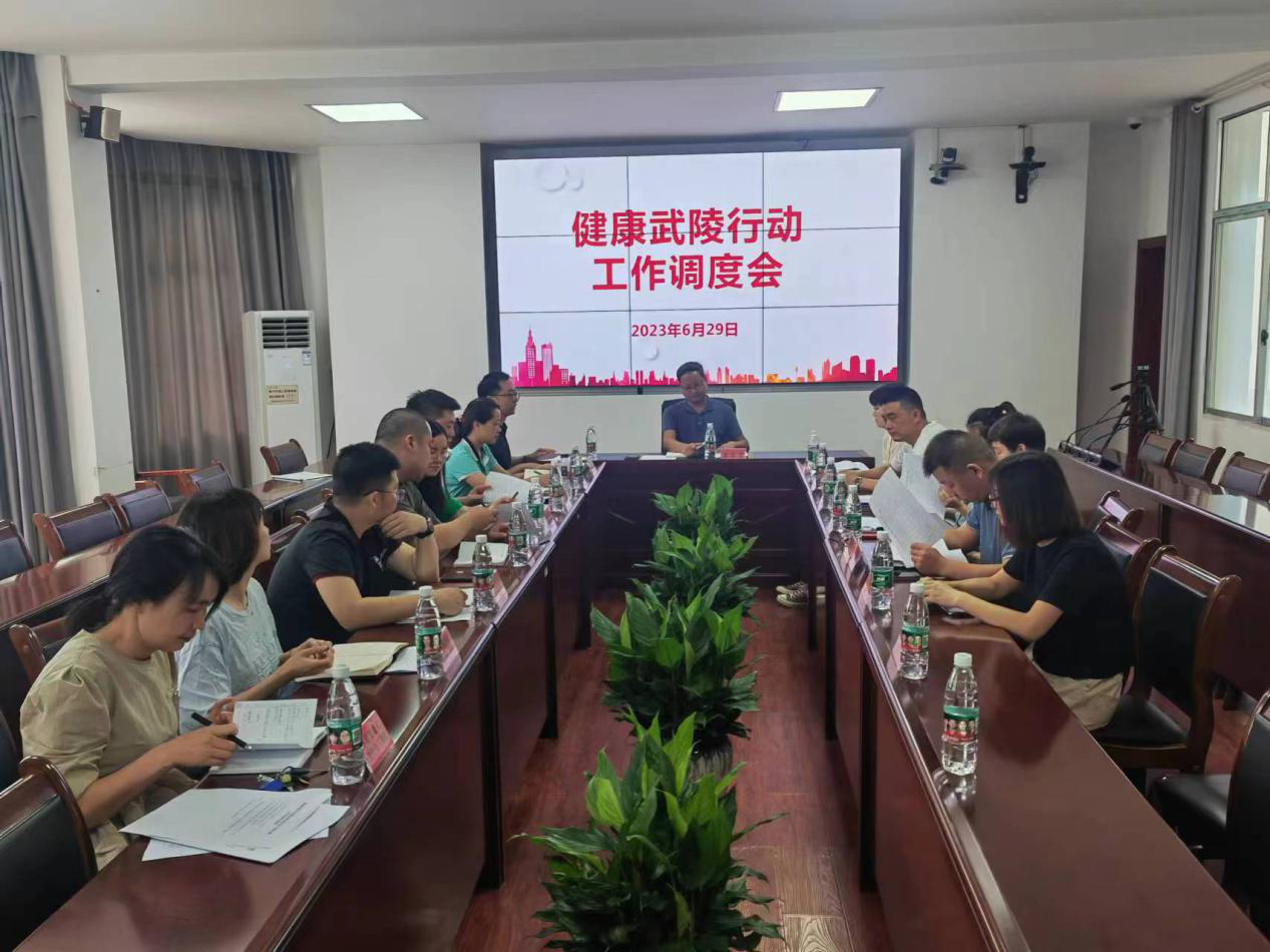 武陵区召开健康武陵行动工作调度会