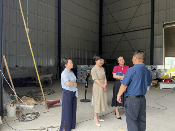 武陵区领导走访调研农业科技型企业