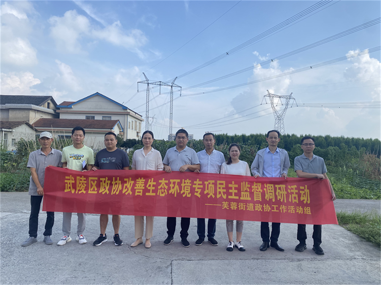芙蓉街道开展专项民主监督 助力大气污染防治
