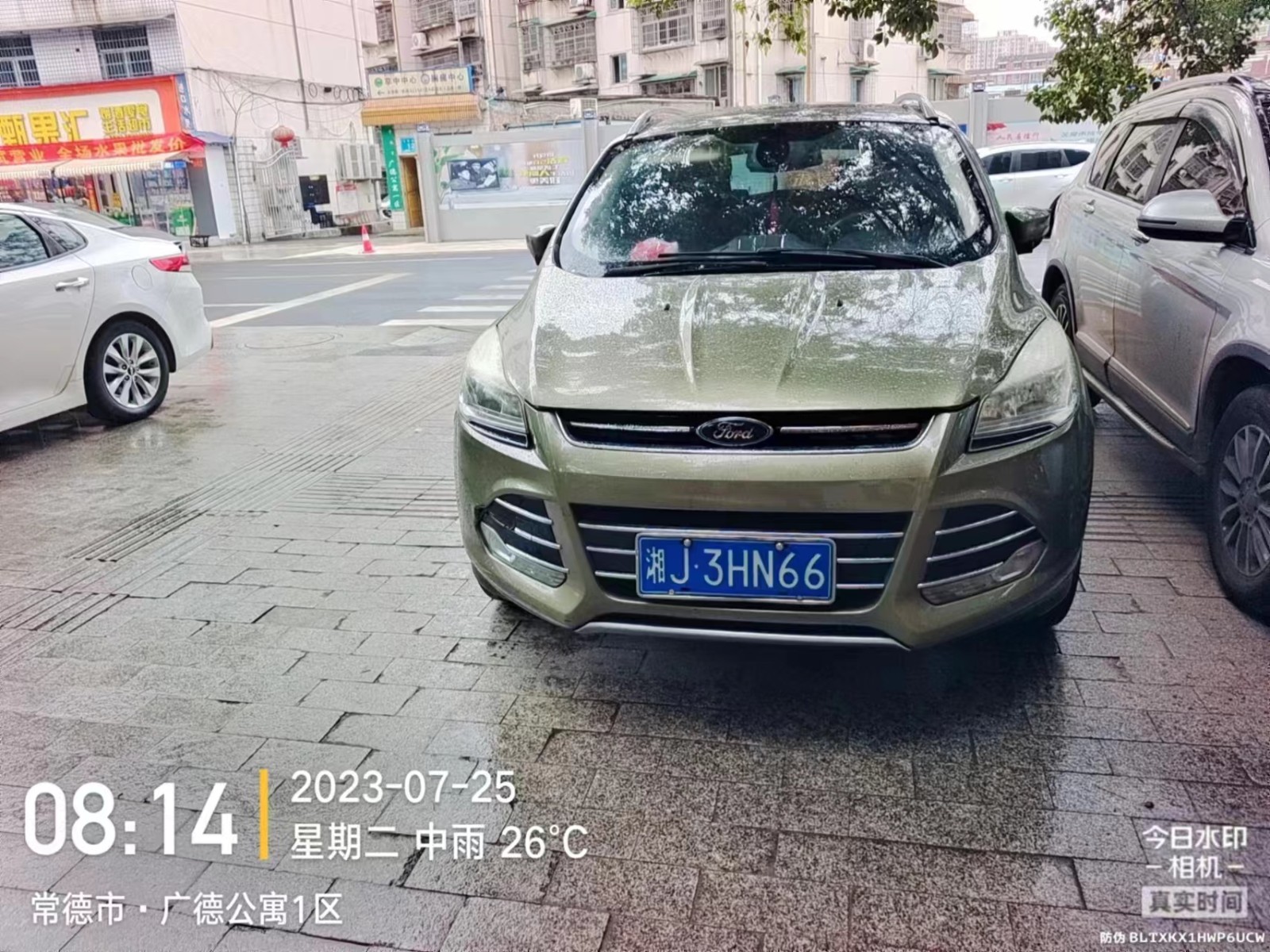 【曝光台】武陵城区不文明行为曝光（314）