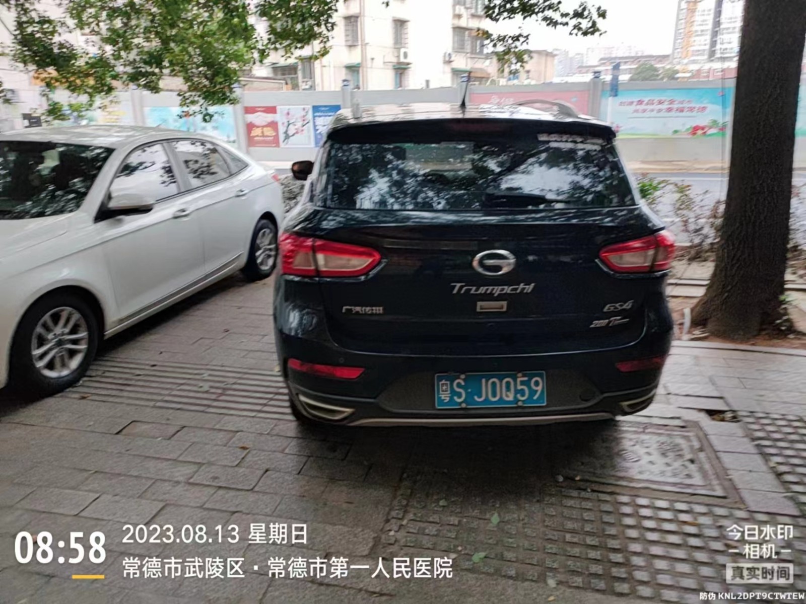 【曝光台】武陵城区不文明行为曝光（333）