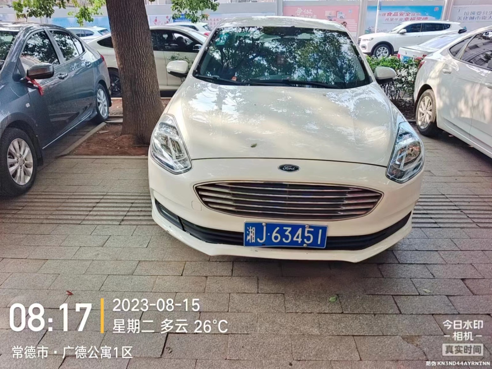 【曝光台】武陵城区不文明行为曝光（335）