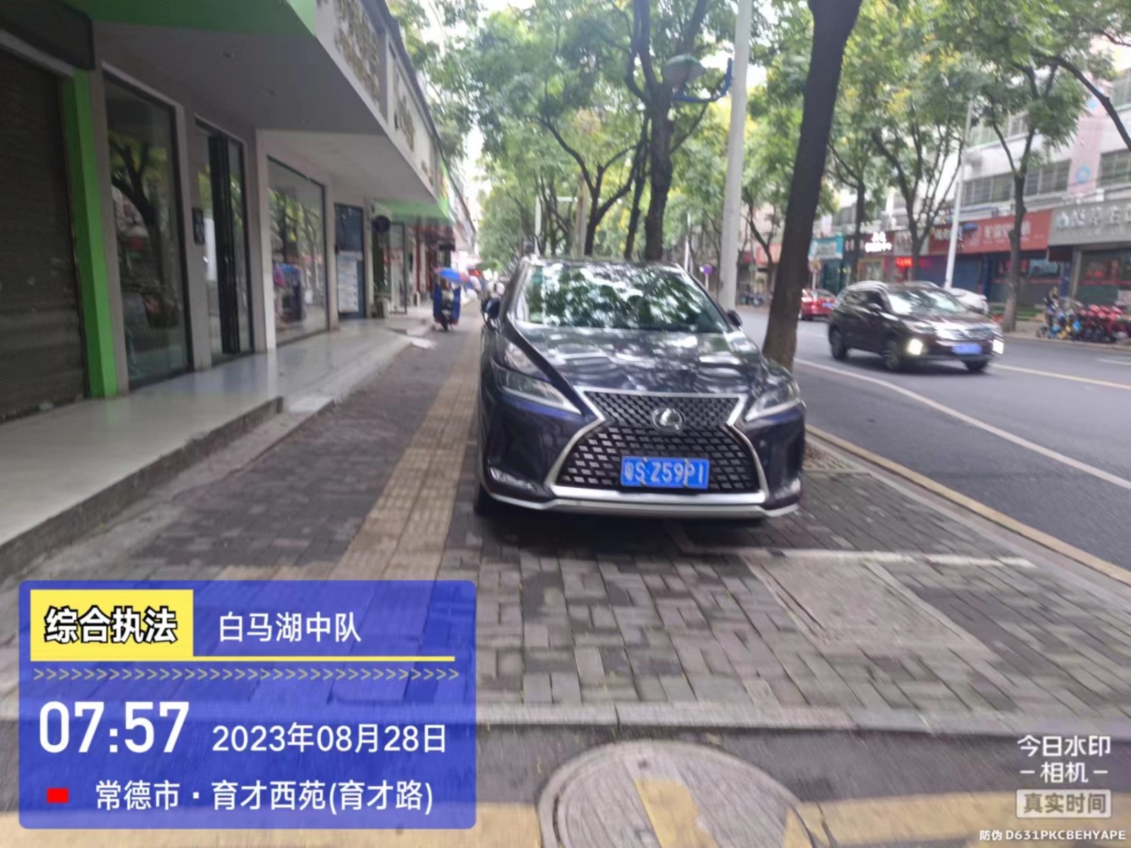 【曝光台】武陵城区不文明行为曝光（348）