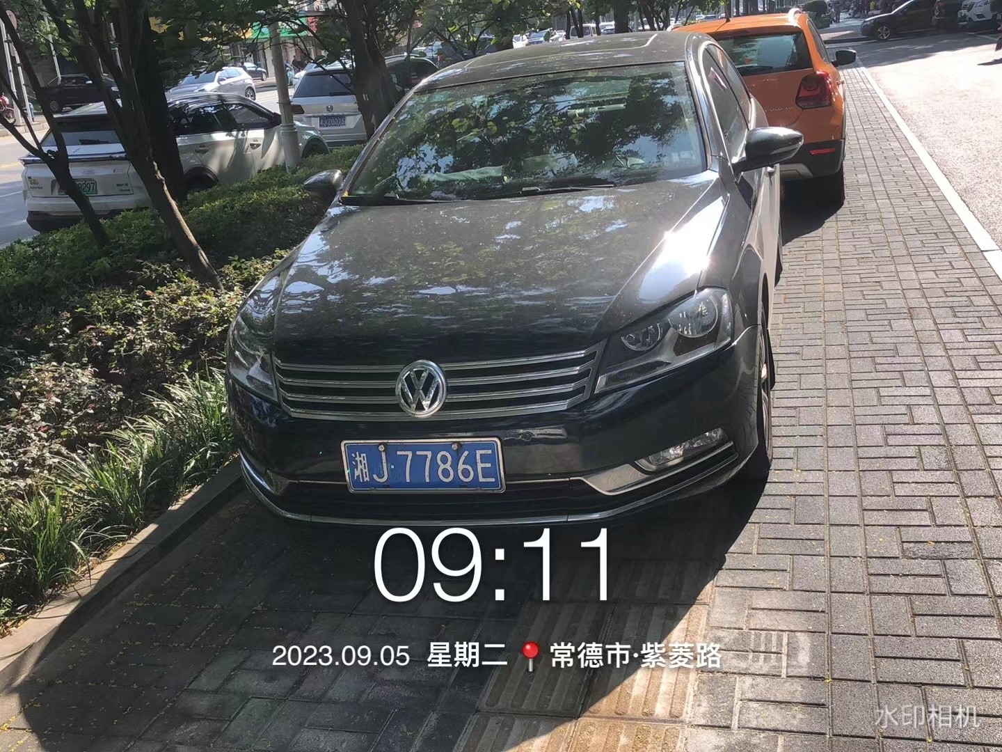 【曝光台】武陵城区不文明行为曝光（356）