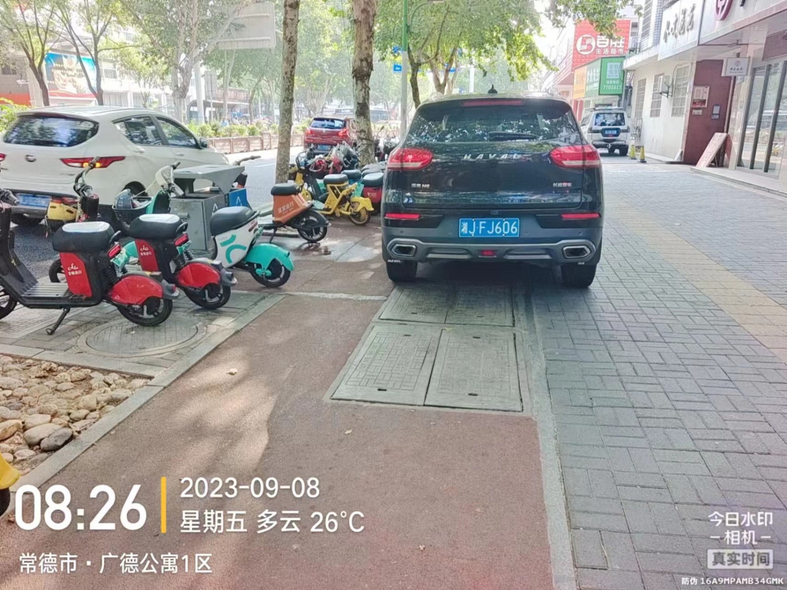 【曝光台】武陵城区不文明行为曝光（359）