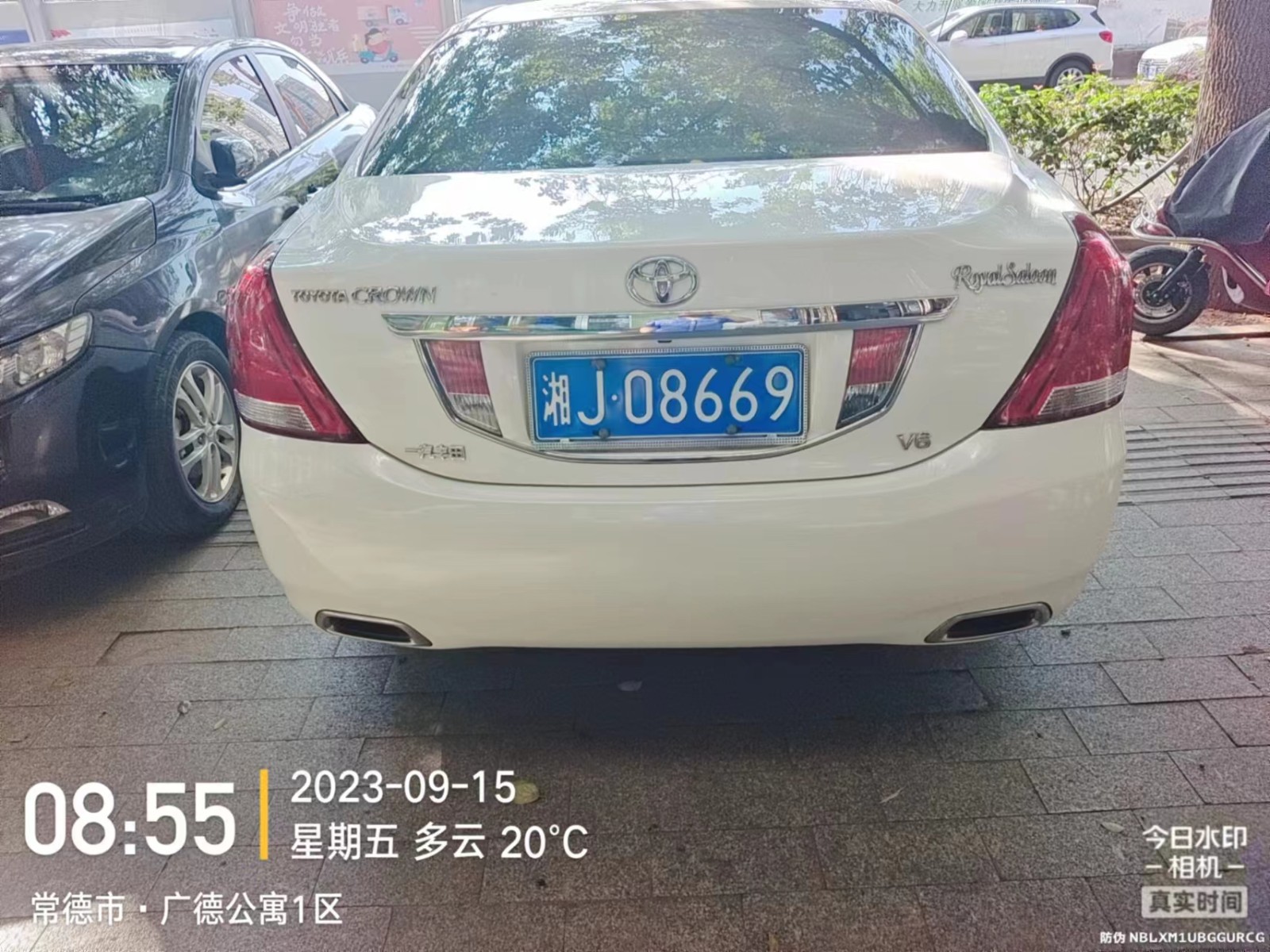 【曝光台】武陵城区不文明行为曝光（366）