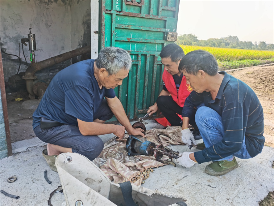 芙蓉街道：石灰社区抗旱保苗解民忧