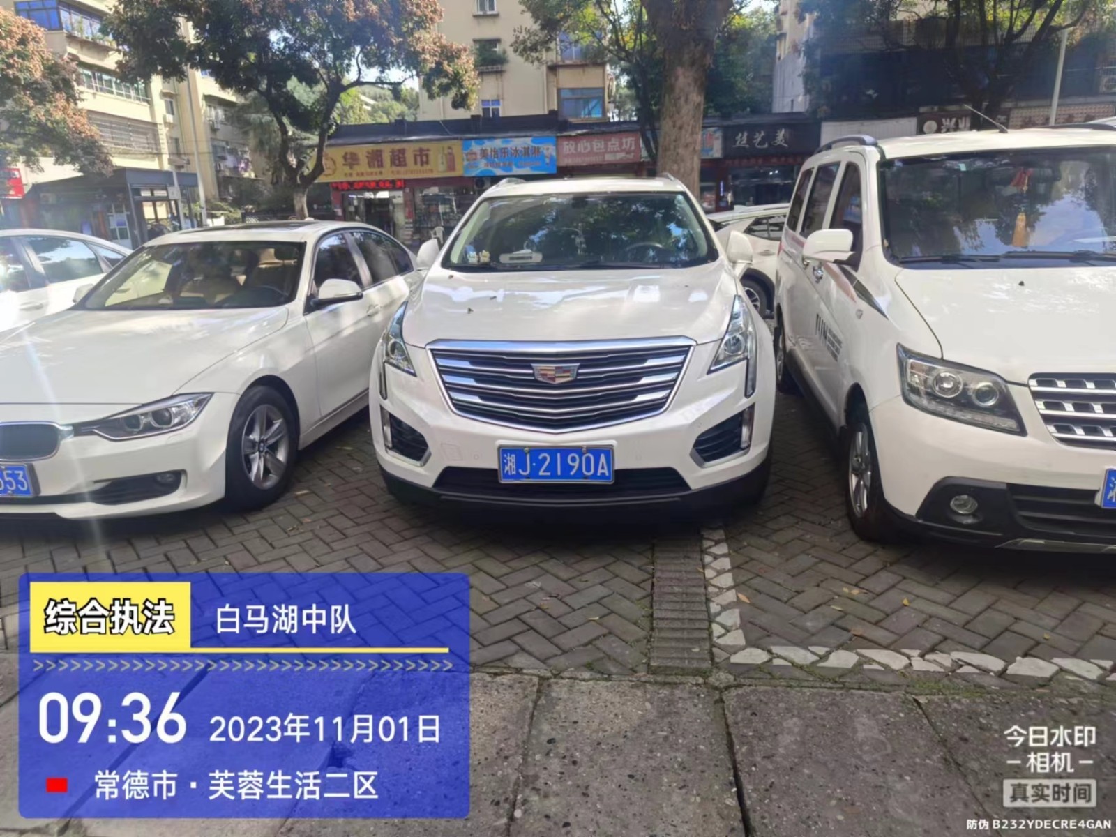 【曝光台】武陵城区不文明行为曝光（399）