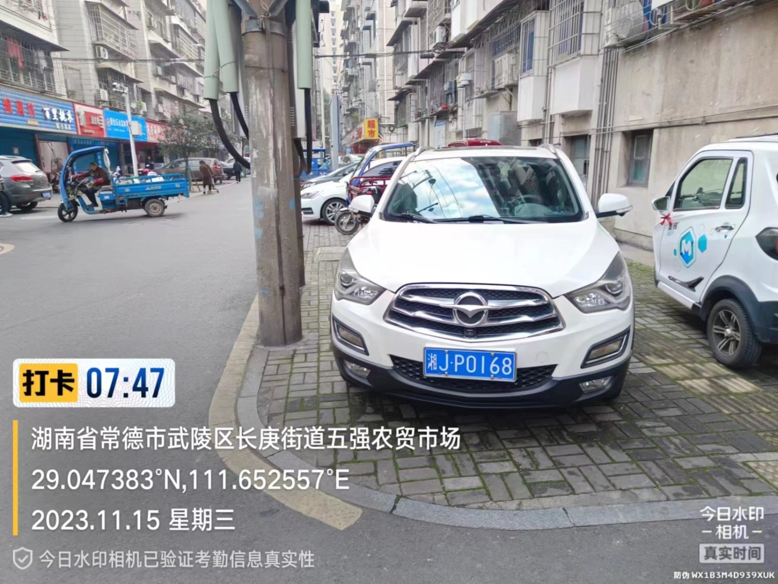【曝光台】武陵城区不文明行为曝光（409）