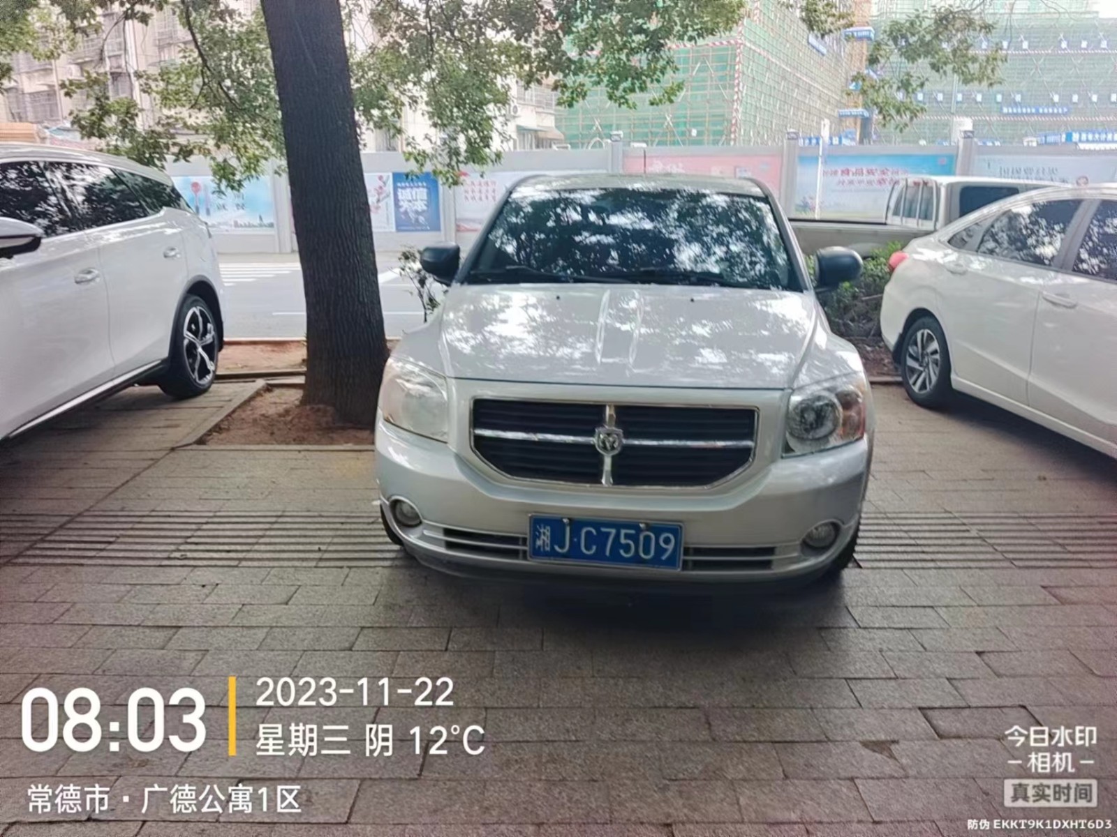 【曝光台】武陵城区不文明行为曝光（414）