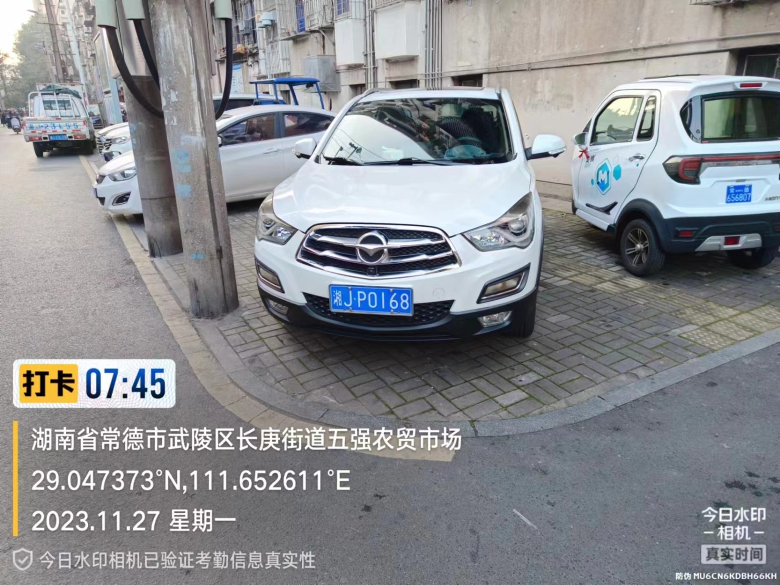 【曝光台】武陵城区不文明行为曝光（417）