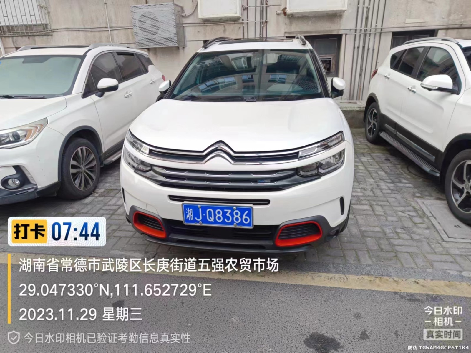 【曝光台】武陵城区不文明行为曝光（419）