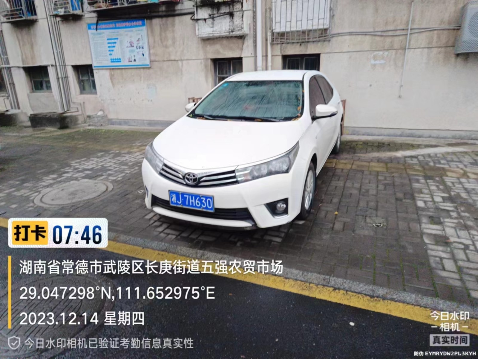 【曝光台】武陵城区不文明行为曝光（430）