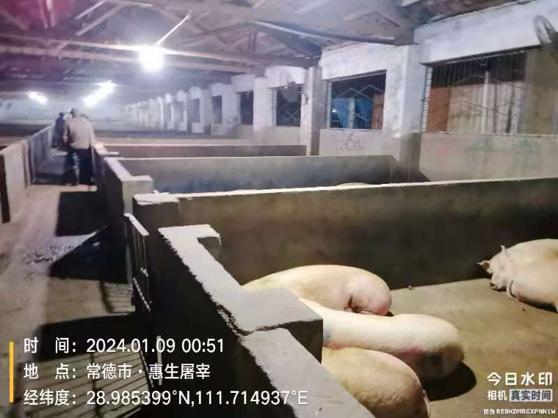 武陵区农业综合行政执法大队开展屠宰领域安全生产检查
