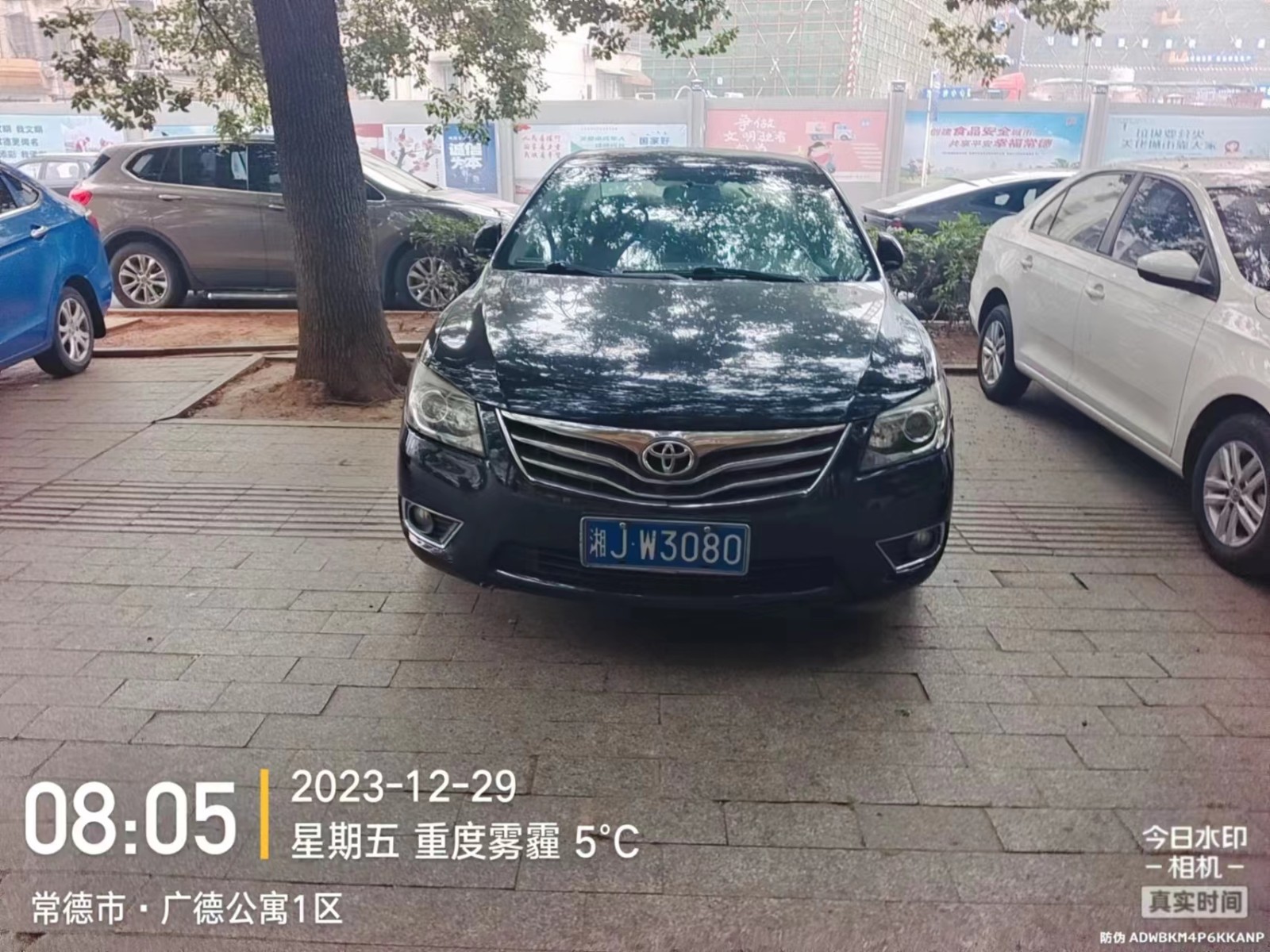 【曝光台】武陵城区不文明行为曝光（441）